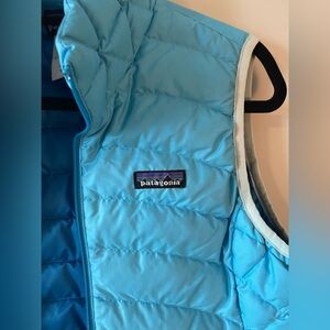 Patagonia Sky Blue Quilted Vest